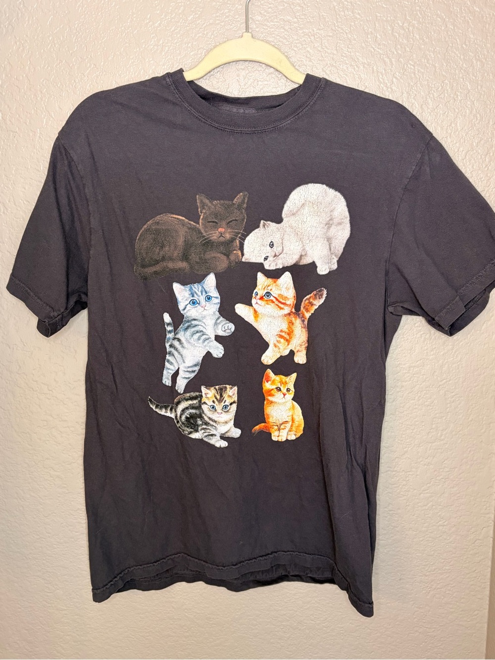 Comfort Colors Black Tee with Colorful Kitten Artwork